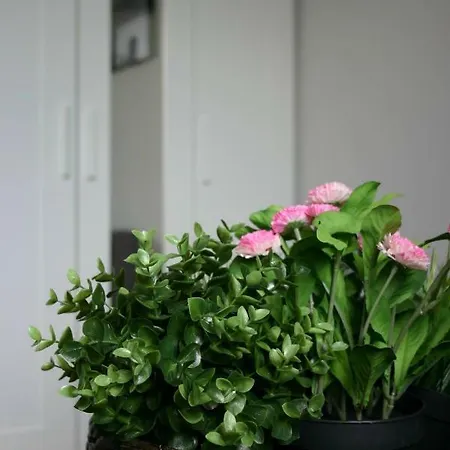 Baltica Apartment